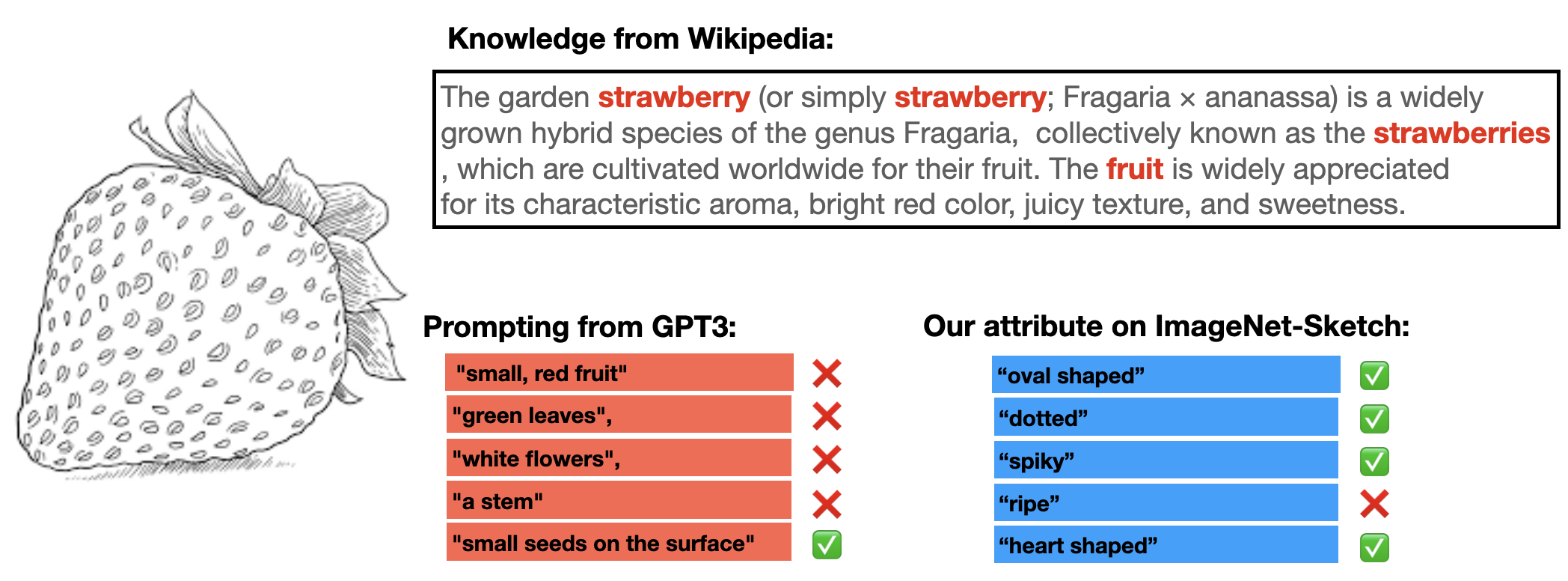 Teaser: LLM descriptors describe typical strawberries; image-conditioned attributes describe the sketch distribution.