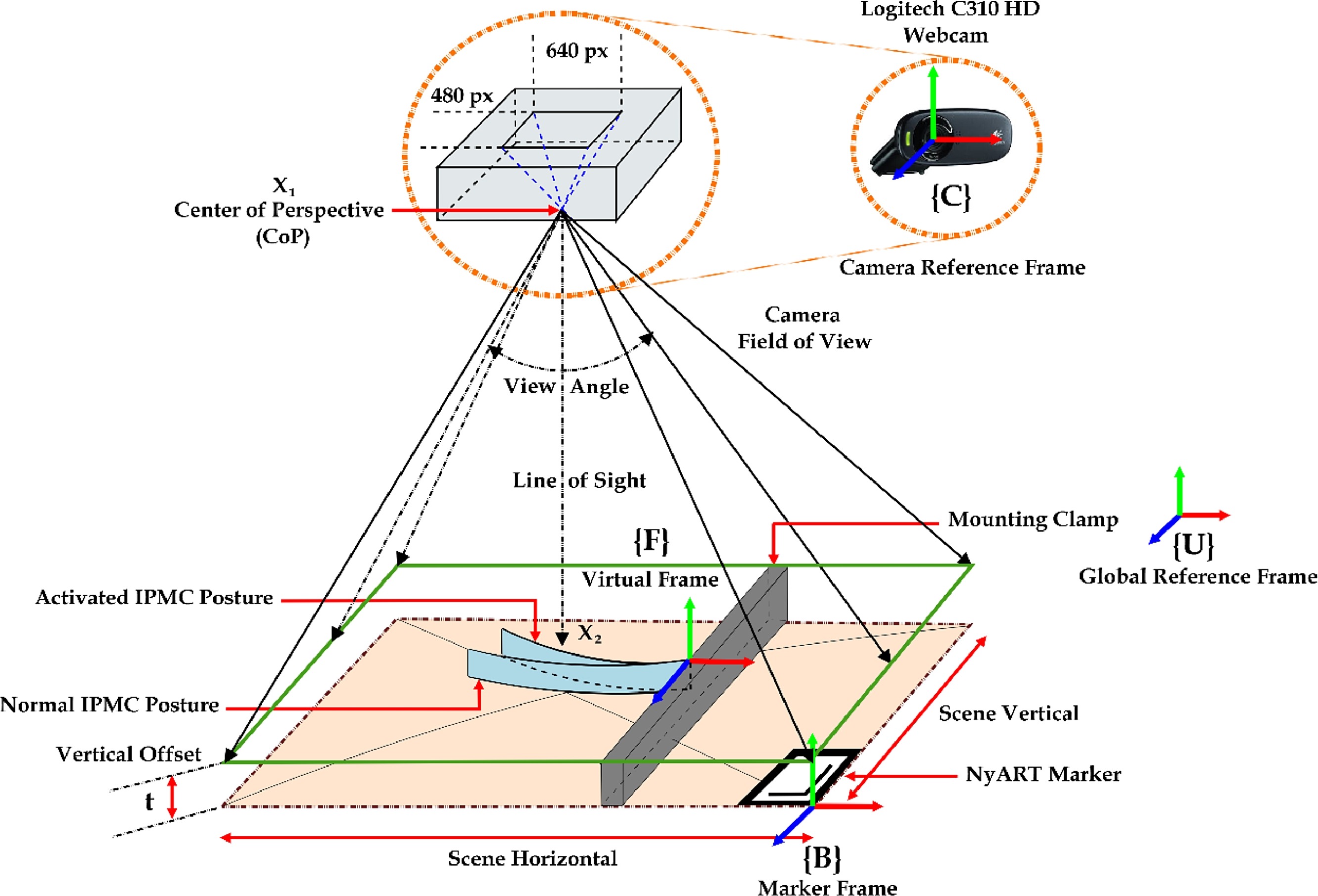 IPMC_actuators.jpg